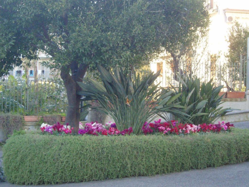 Miramare Residence Ποτσουόλι Εξωτερικό φωτογραφία
